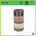 color lead pencil tube